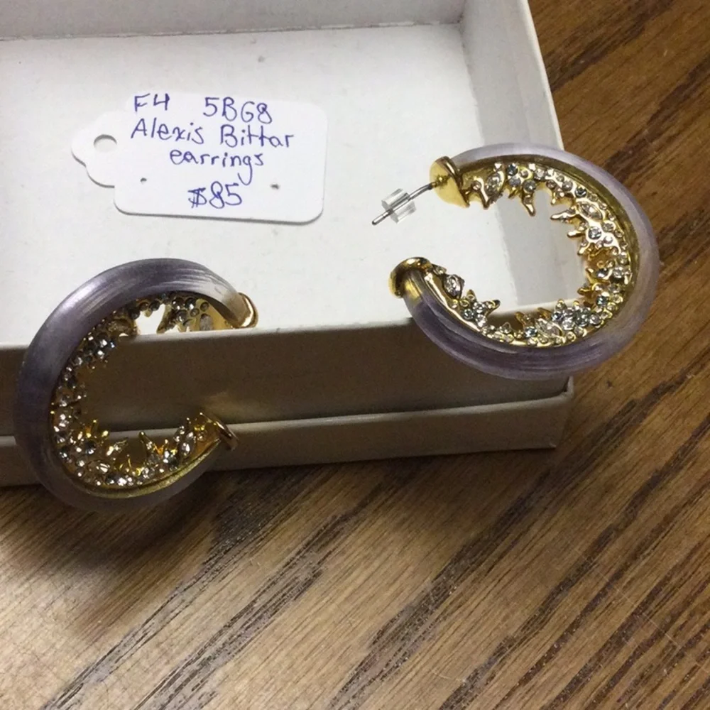 Alexis Bittar Lucite And Rhinestone Hoop Earrings - Picture 5 of 7